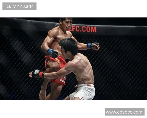 中国散打与泰拳的对决分析与技巧比较探讨